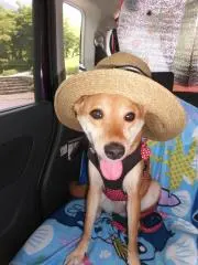そのちゃん☆彡