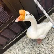 すまいる☺︎