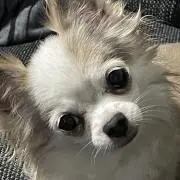 ✰︎マリン✰︎の画像