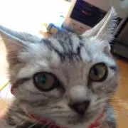 わかとも