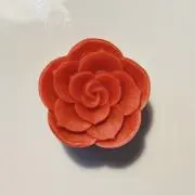 ayaの画像
