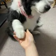 な
