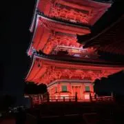 ぴろの画像