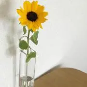 na♡