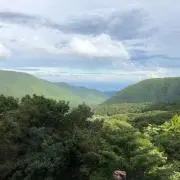 【値引き交渉可能】World Kingの画像