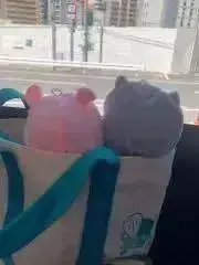 りこの画像