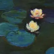 penaの画像