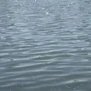 mugiの画像