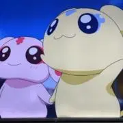 めぽの画像