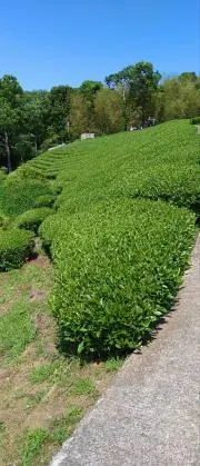 Knight Mountainの画像