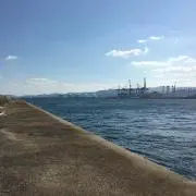 いであるすてらの画像