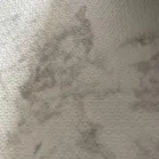 笑顔大好き☺️☺️