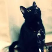 Run