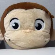 Licoの画像