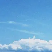 ANLの画像