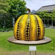 Msの画像