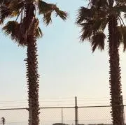ふーかの画像