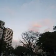 tooの画像