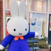 こむぎの画像