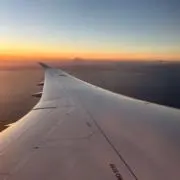 ろこ太郎の画像