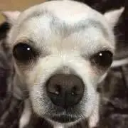 ☆ダンナ☆