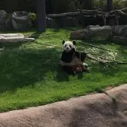 奈々