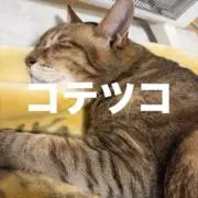 コテツコの画像
