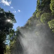 ふじこの画像