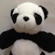まゆせの画像