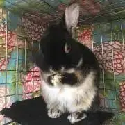 ゆっこ