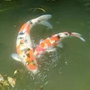 Takuの画像
