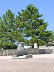 うめしばの画像
