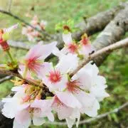 DORAEMONloveの画像