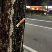 にほんだいすき！