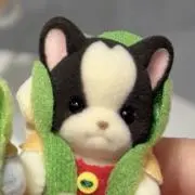 温かい犬の画像