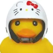 あひるの画像