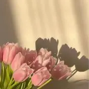 ぽんずの画像