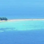 モアの画像