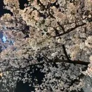iy.の画像