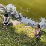 発送スピードガチ勢の画像