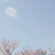 Kayoの画像