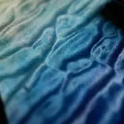 奏の画像