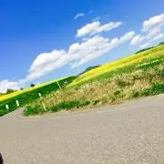 Trrr0314の画像
