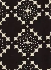 kokoの画像