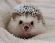 れお蔵