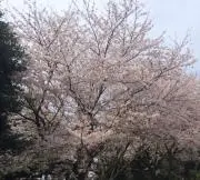 疲れた。。 今日も1日