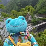 ボンちゃんの画像