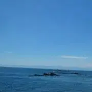 Maaの画像