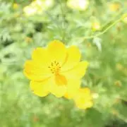 Kanako.hの画像