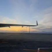 のぽの画像